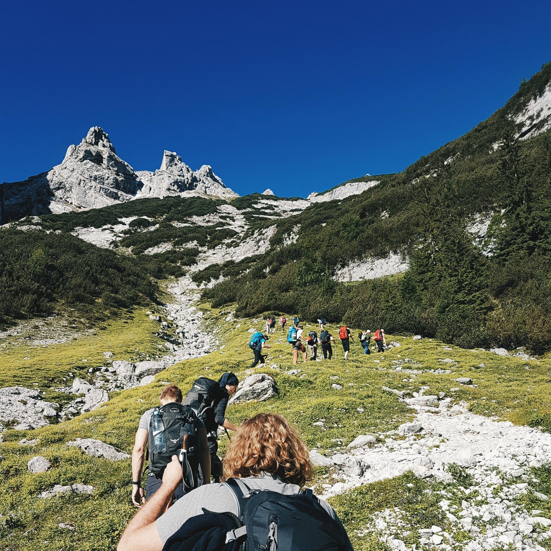 pexels ben maxwell 479813 1194233 scaled e1764060136257